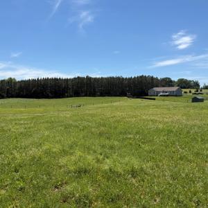 Photo #40 of 1528 Police Tower Rd, Appomattox, VA 23.3 acres