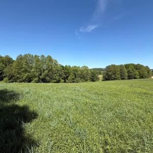 Photo #44 of 1528 Police Tower Rd, Appomattox, VA 23.3 acres