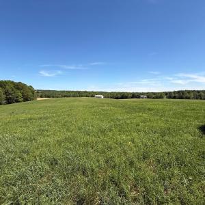 Photo #45 of 1528 Police Tower Rd, Appomattox, VA 23.3 acres