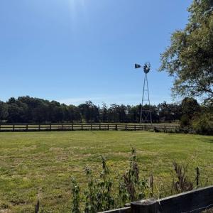 Photo #23 of 525 Raines Tavern Road, Farmville, VA 75.0 acres