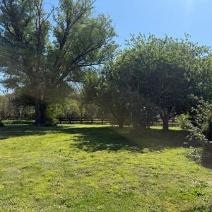 Photo #24 of 525 Raines Tavern Road, Farmville, VA 75.0 acres