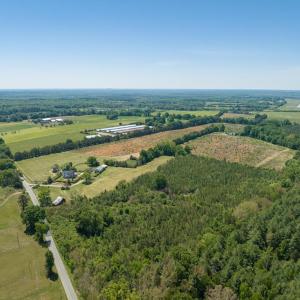 Photo #34 of 525 Raines Tavern Road, Farmville, VA 75.0 acres