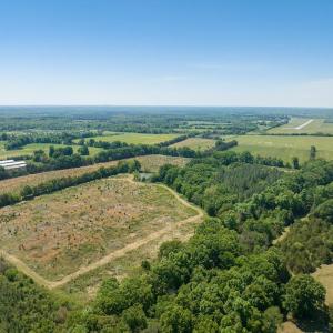Photo #36 of 525 Raines Tavern Road, Farmville, VA 75.0 acres