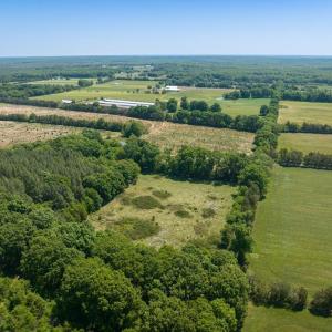 Photo #37 of 525 Raines Tavern Road, Farmville, VA 75.0 acres