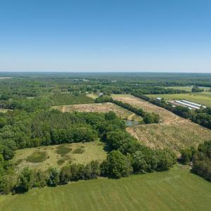 Photo #38 of 525 Raines Tavern Road, Farmville, VA 75.0 acres