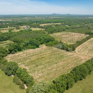 Photo #43 of 525 Raines Tavern Road, Farmville, VA 75.0 acres