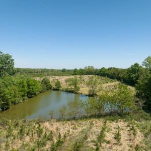 Photo #44 of 525 Raines Tavern Road, Farmville, VA 75.0 acres