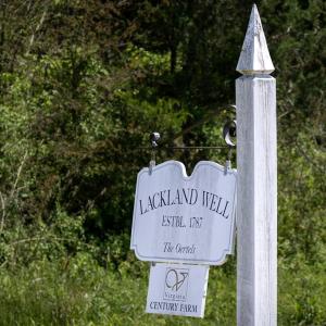 Photo #52 of 525 Raines Tavern Road, Farmville, VA 75.0 acres