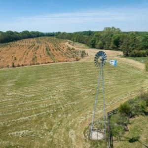 Photo #56 of 525 Raines Tavern Road, Farmville, VA 75.0 acres