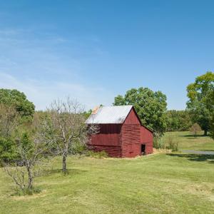 Photo #62 of 525 Raines Tavern Road, Farmville, VA 75.0 acres