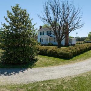 Photo #8 of 525 Raines Tavern Road, Farmville, VA 75.0 acres