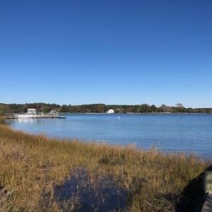 Photo #3 of 14250 SHORE DR, HARBORTON, VA 2.6 acres