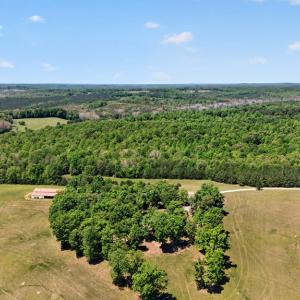 Photo #107 of 91&89 South James Madison Hwy, Farmville, VA 3.6 acres