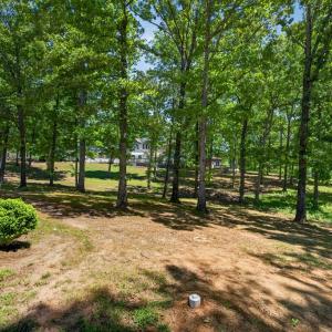 Photo #96 of 91&89 South James Madison Hwy, Farmville, VA 3.6 acres