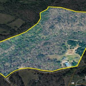 Photo #3 of 245 Green Pine Ln, Charlotte Court House, VA 52.4 acres