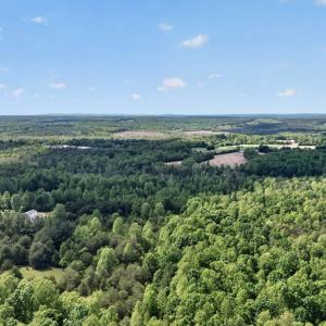 Photo #43 of 245 Green Pine Ln, Charlotte Court House, VA 52.4 acres