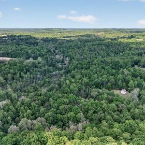 Photo #45 of 245 Green Pine Ln, Charlotte Court House, VA 52.4 acres
