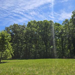 Photo #29 of 6 Mahan, Farmville, VA 1.6 acres