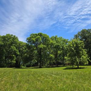 Photo #3 of 6 Mahan, Farmville, VA 1.6 acres