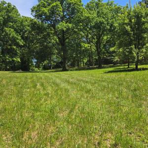 Photo #30 of 6 Mahan, Farmville, VA 1.6 acres