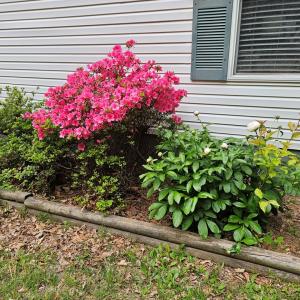 Photo #2 of 981 Scotts Bottom Rd, Dillwyn, VA 10.0 acres
