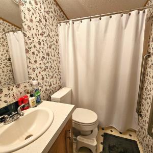 Photo #21 of 981 Scotts Bottom Rd, Dillwyn, VA 10.0 acres