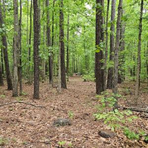 Photo #43 of 981 Scotts Bottom Rd, Dillwyn, VA 10.0 acres