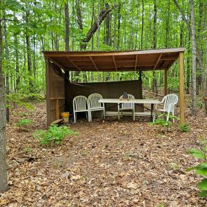Photo #44 of 981 Scotts Bottom Rd, Dillwyn, VA 10.0 acres