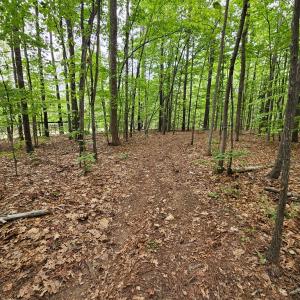 Photo #45 of 981 Scotts Bottom Rd, Dillwyn, VA 10.0 acres