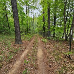 Photo #49 of 981 Scotts Bottom Rd, Dillwyn, VA 10.0 acres