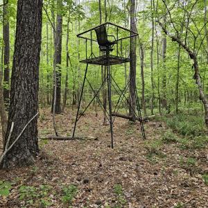 Photo #50 of 981 Scotts Bottom Rd, Dillwyn, VA 10.0 acres