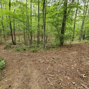 Photo #51 of 981 Scotts Bottom Rd, Dillwyn, VA 10.0 acres