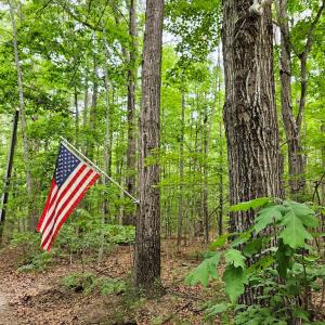 Photo #52 of 981 Scotts Bottom Rd, Dillwyn, VA 10.0 acres