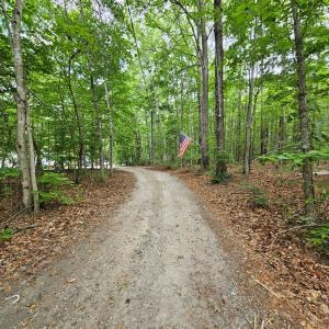 Photo #54 of 981 Scotts Bottom Rd, Dillwyn, VA 10.0 acres