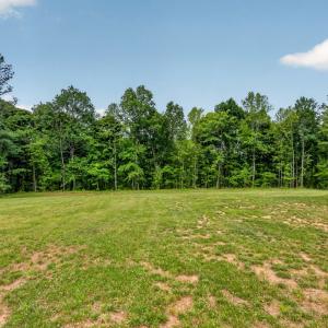 Photo #40 of 20180 Poplar Ridge Rd., Amelia Court House, VA 15.1 acres
