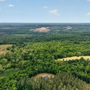 Photo #78 of 20180 Poplar Ridge Rd., Amelia Court House, VA 15.1 acres