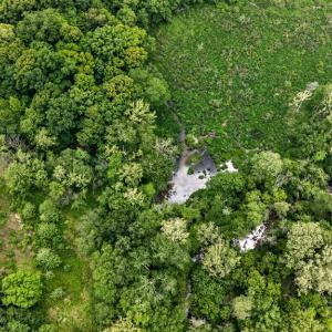 Photo #81 of 20180 Poplar Ridge Rd., Amelia Court House, VA 15.1 acres