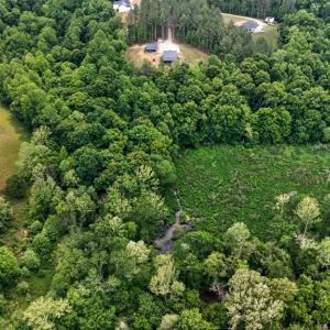 Photo #82 of 20180 Poplar Ridge Rd., Amelia Court House, VA 15.1 acres