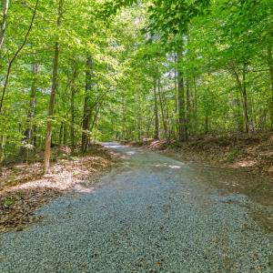Photo #51 of 2533 Beech Forest Road, Kenbridge, VA 44.0 acres