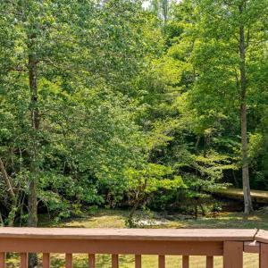 Photo #33 of 2533 Beech Forest Road, Kenbridge, VA 44.0 acres