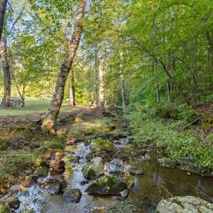 Photo #6 of 2533 Beech Forest Road, Kenbridge, VA 44.0 acres