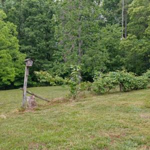 Photo #39 of 733 Campbell Crossing Road, Meherrin, VA 10.2 acres