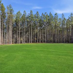 Photo #3 of 2214 Walnut Tree Blvd, Powhatan, VA 4.4 acres
