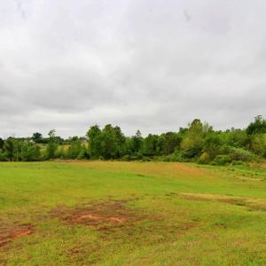 Photo #5 of 13738 Richmond Hwy., Pamplin, VA 3.0 acres