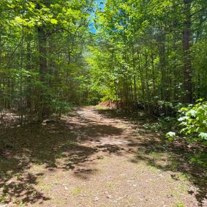 Photo #33 of 2293 Turkey Island Road, Crewe, VA 5.0 acres