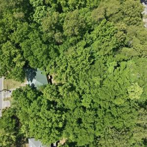 Photo #33 of 602 Longwood Avenue, Farmville, VA 0.3 acres