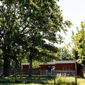 Photo #56 of 248 Pisgah Church, Rice, VA 31.8 acres