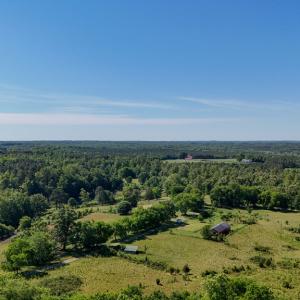 Photo #57 of 248 Pisgah Church, Rice, VA 31.8 acres