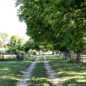 Photo #68 of 248 Pisgah Church, Rice, VA 31.8 acres