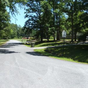 View of Lynn Street